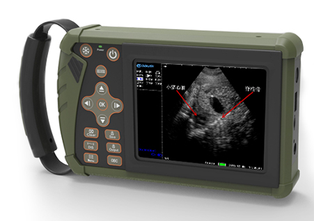 S1,獸用超聲診斷儀,便攜式獸用B超
