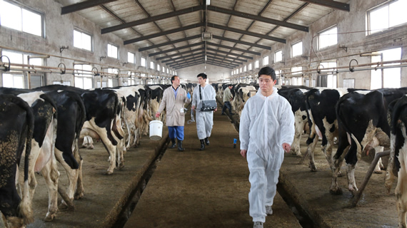 獸用B超,動(dòng)物B超機(jī),牛用B超機(jī)