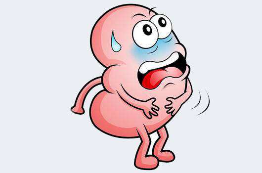 腎臟B超與腎臟彩超區別?